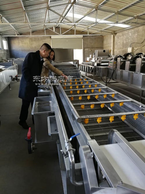 番茄網(wǎng)帶清洗機多少錢 諸城利特食品機械公司 番茄網(wǎng)帶清洗機圖片