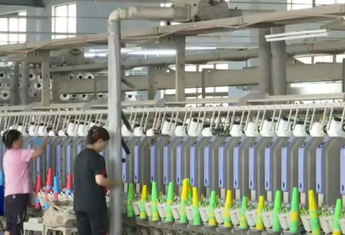 阜寧 智能制造引領(lǐng) 專精特新 梯隊(duì)